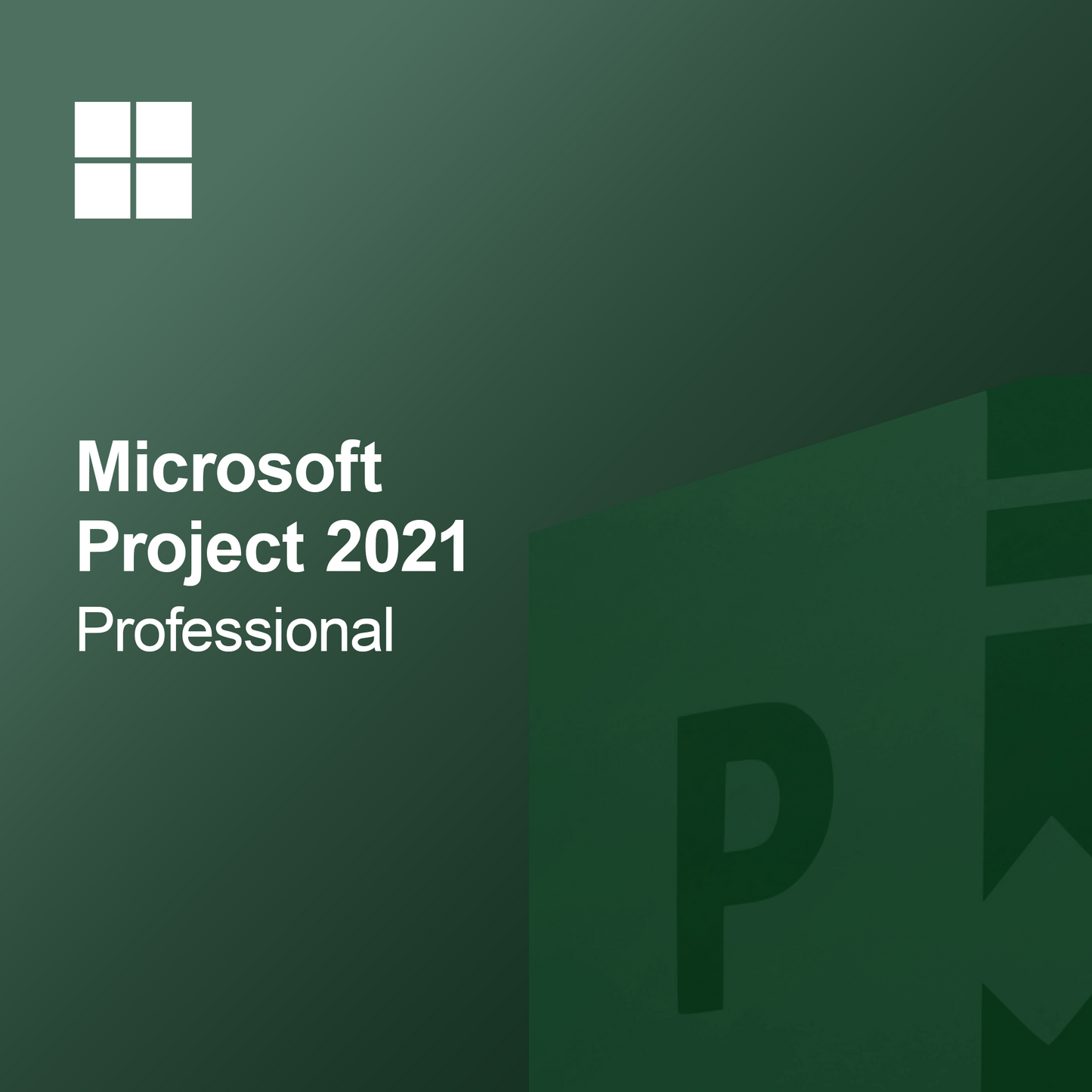 Microsoft Project 2021 Profesional