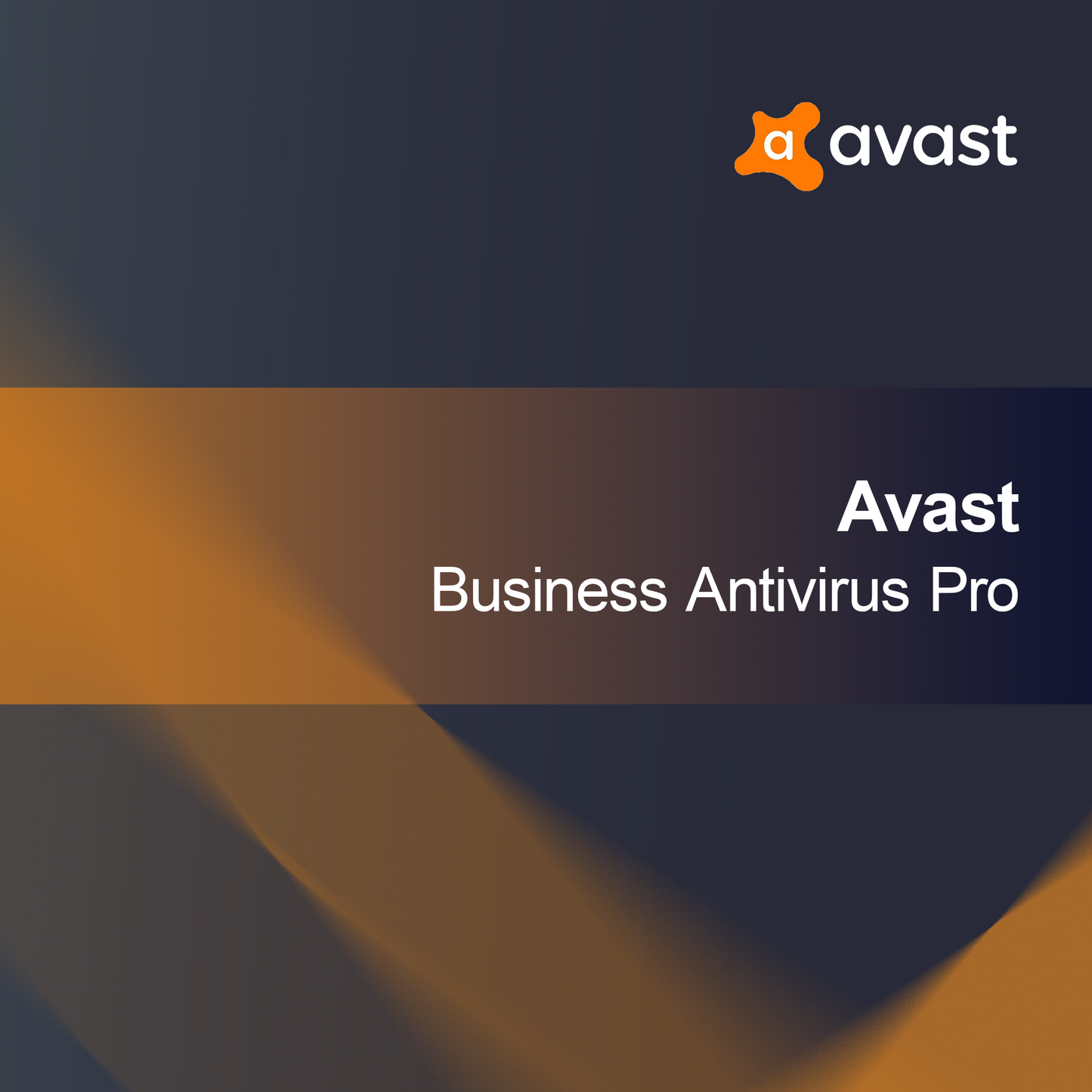 Avast Seguridad Empresarial Esencial